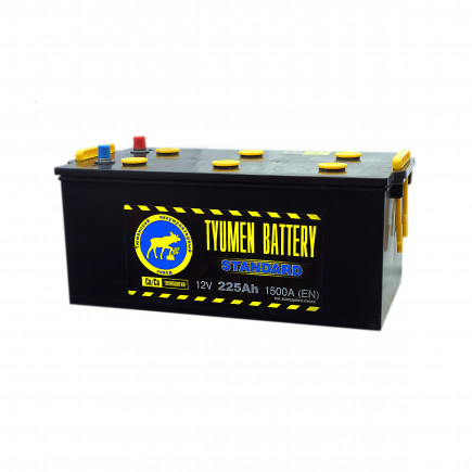 Тюмень STANDARD - 225 (евро)