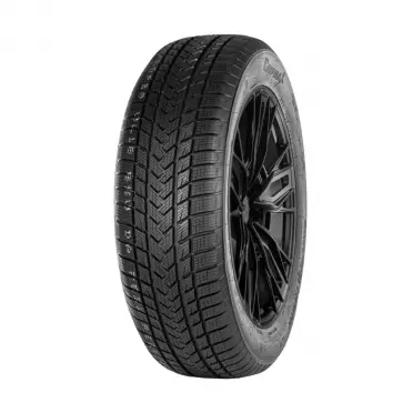 GRIPMAX SUREGRIP EWINTER 205/45/R17 88V XL