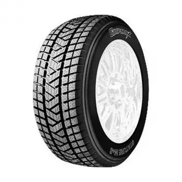 GRIPMAX STATURE M/S 245/60/R18 105H