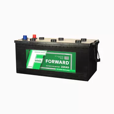 FORWARD Green - 225 (евро)