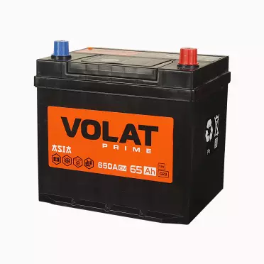 VOLAT Prime ASIA - 65 (о.п.)